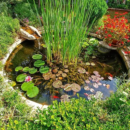 Lavanda 108 * Fažana